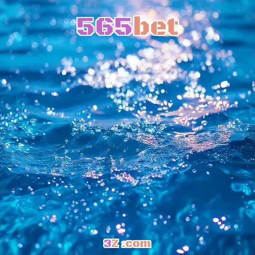 Suporte Eficiente da 565bet: Conectando Jogadores e Soluções
